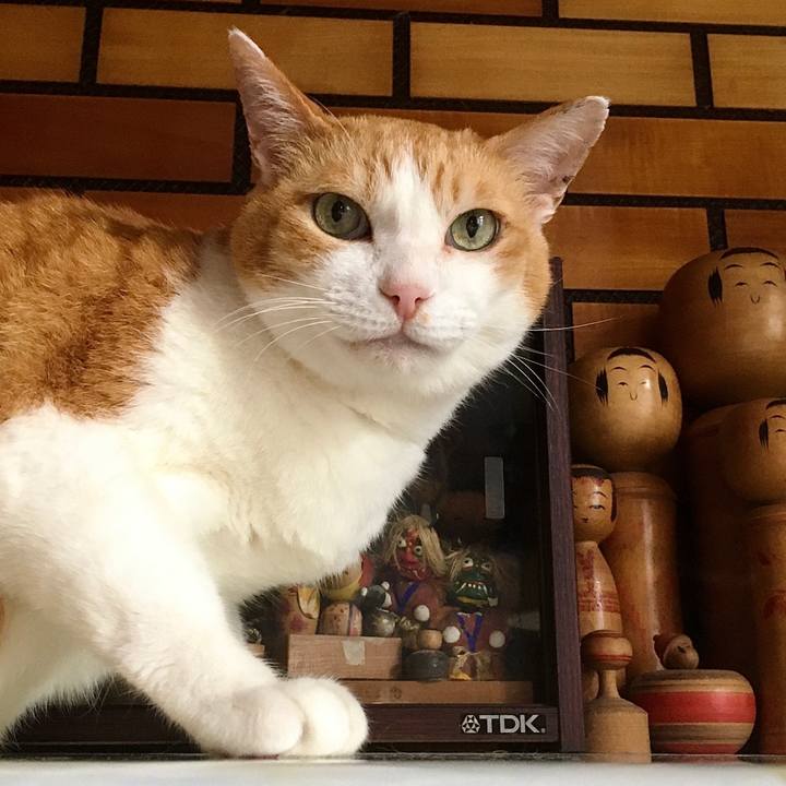 B1db8bb2 461d 4b83 8cc0 49d280364a6f 1623135310112