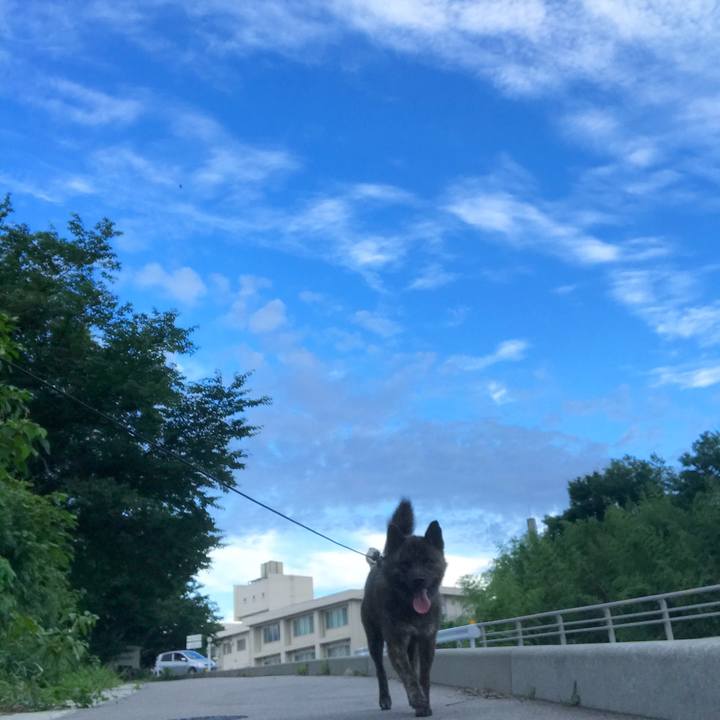 B1dbad06 f2f5 45a1 ad24 37842d8be4bd 1531130872657