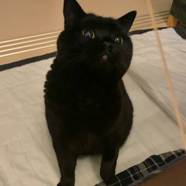 B1dbbf89 22d8 4b56 a267 e58b8e5cf02d 1671278804467