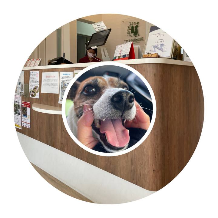 B1dbe63a 504a 4504 b0bb 5169b092df7e 1759381432153