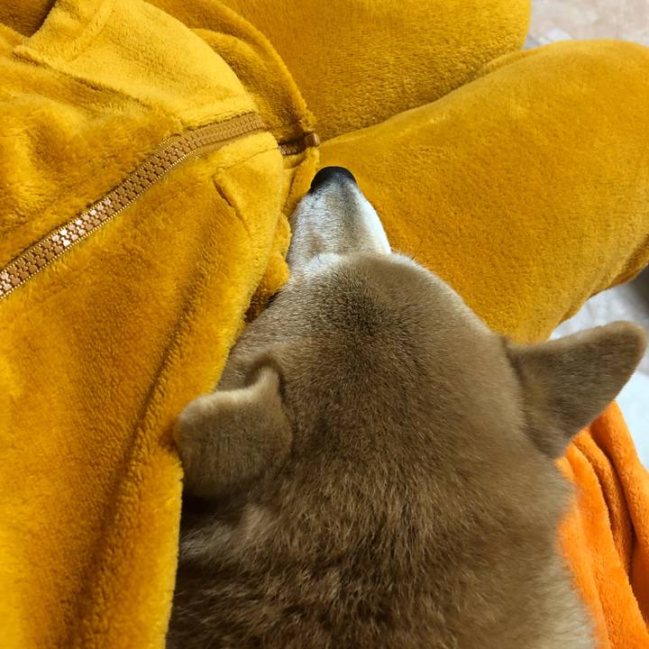 B1dbf2cb eafa 4e47 801f a16567f9f6fa 1548849516674