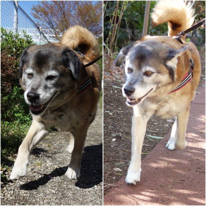 B1dc0ef3 b525 40cf b3cd c2b77f752897 1554944135083