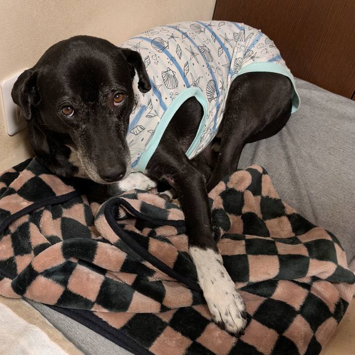 B1dc5827 f7f1 480c 9150 e1e1684c980d 1737159584845