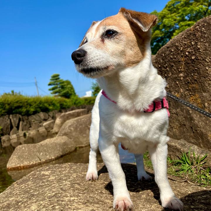 B1dcd2ca 5ef3 4879 bb53 9819ca962e5b 1714264865036