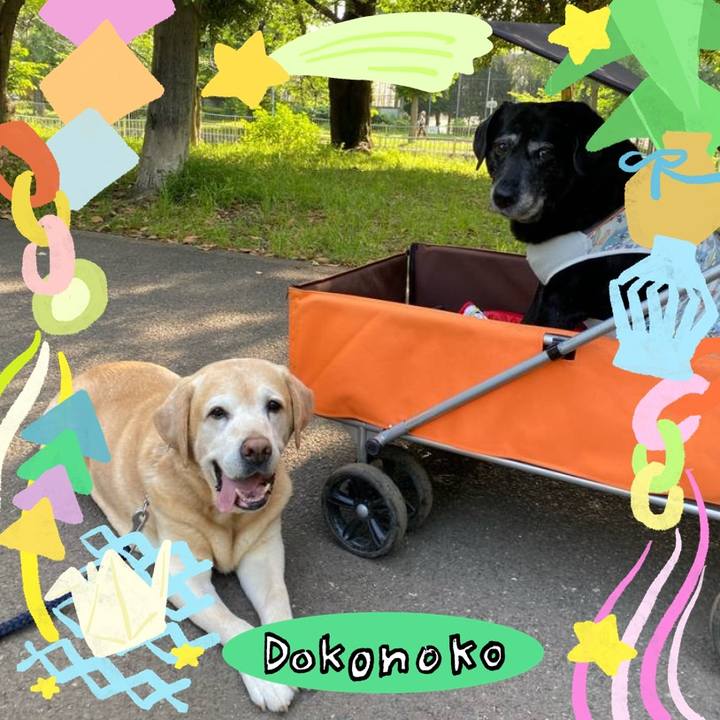 B1dcf8e0 5794 4246 8669 8df20dbc5430 1755391851956