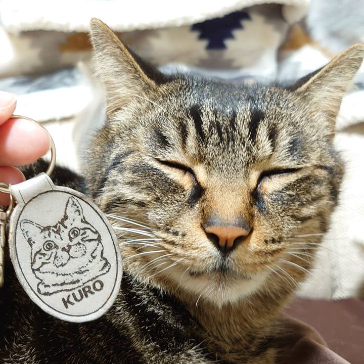 B1dcfc35 2a8b 4d0a 85da fc299b3b2f62 1639305372704