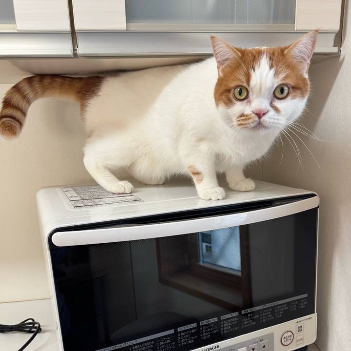 B1dd2aed eea8 4b1f aee8 2f1dc434a91b 1767061005216