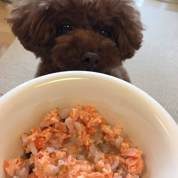 B1dd2de2 1a9b 4a6a 8f17 f802a2afa868 1531089454075