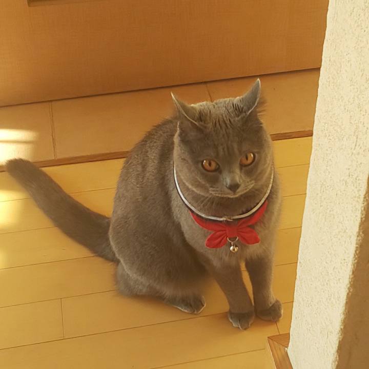 B1dd990e f5d4 4bc0 9f7b c25ae46d1b36 1543368950889