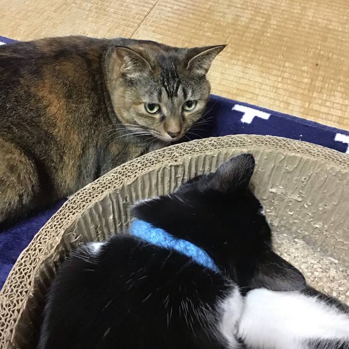 B1dd9a25 9979 4657 9d81 b6d94a30b28a 1736152188897