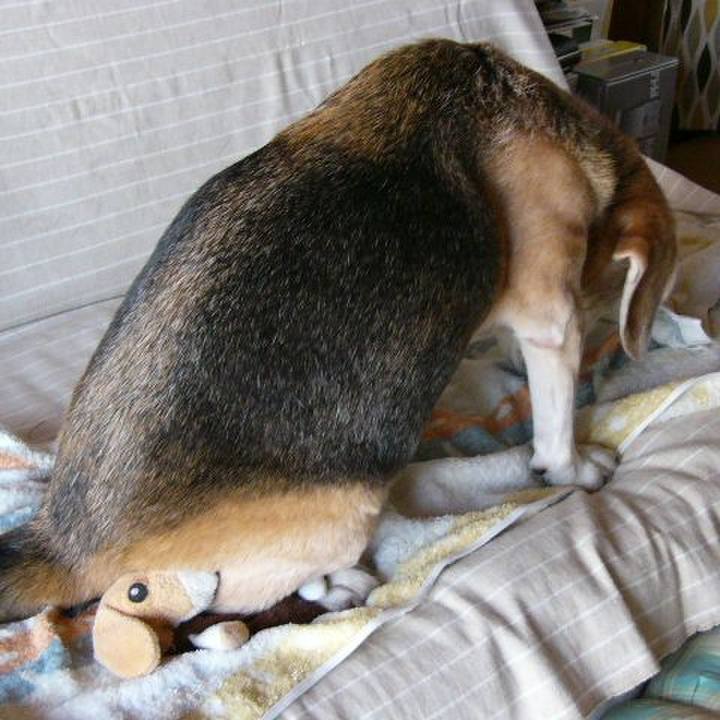 B1ddd2bb 6bb3 4d1a b22f a0a6449a3547 1668904962568