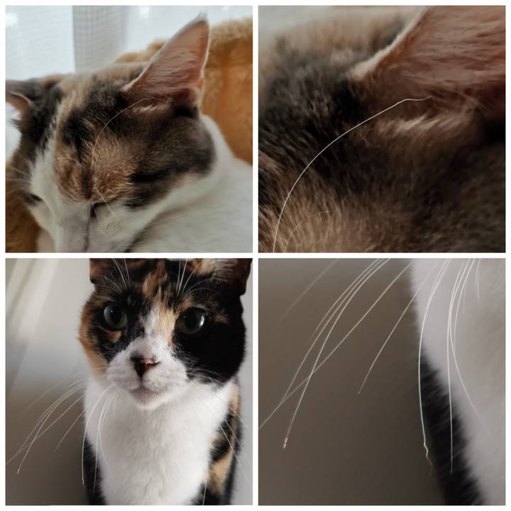 B1de0374 4fac 4b80 bae7 d81b14827d3a 1623040216983