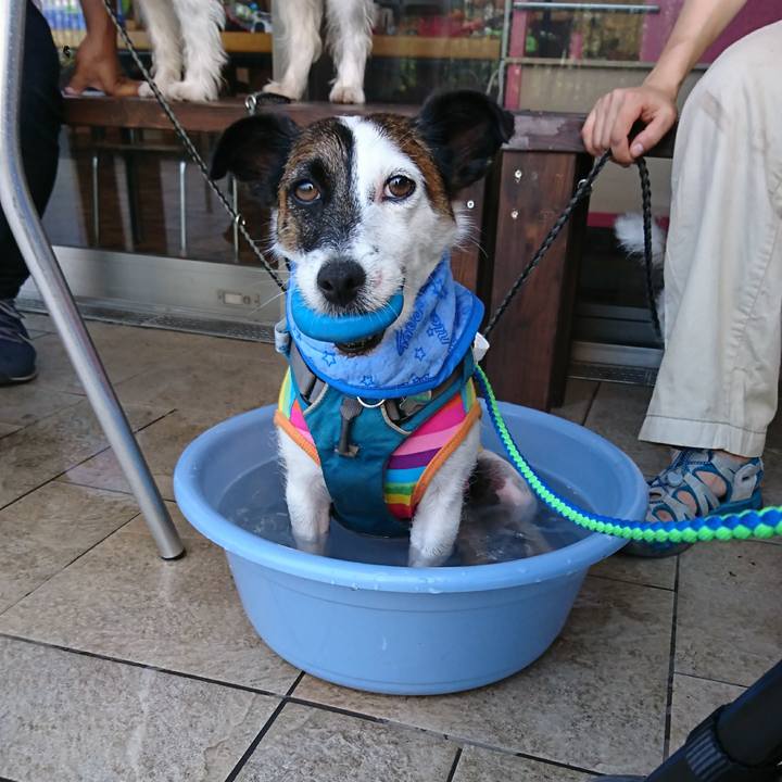 B1de1c3e e88e 4615 abb7 f73095387378 1597889456173