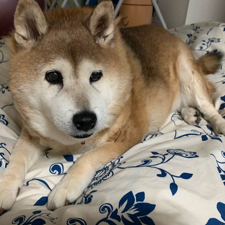 B1de58e2 58f2 4e00 8c67 10af64239fc3 1619354533487