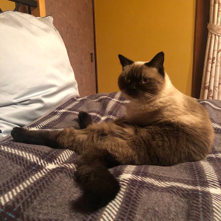 B1de5fab bf73 4375 8db4 3525cab75cb6 1631712407670