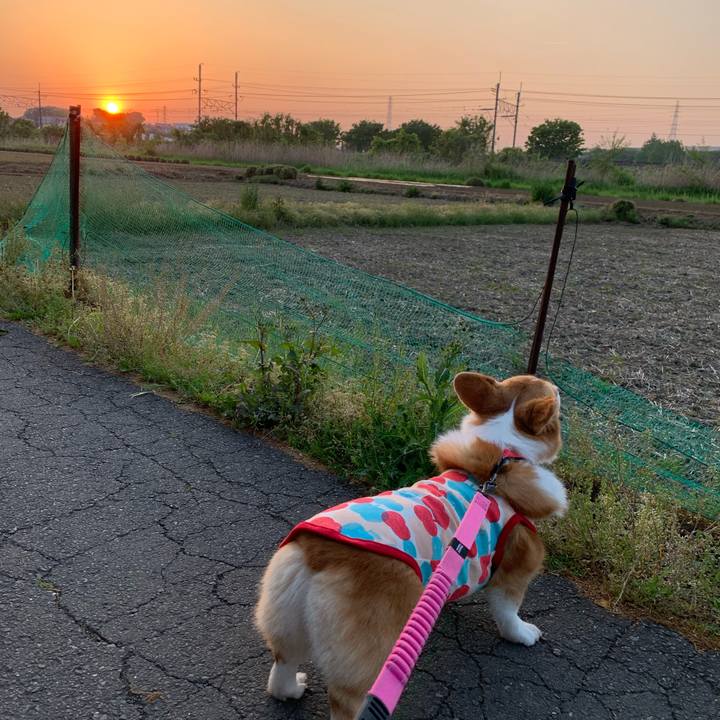 B1de9344 ce3e 4164 aafd fd2125c95a43 1588328863794