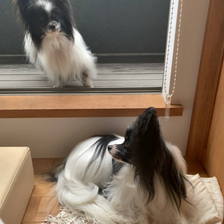 B1de95df 6d8f 45c3 a170 64e5870444c1 1623623540710