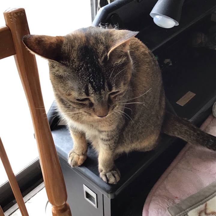 B1df03b2 60ec 4a2f 94cb a19b913a2b6e 1654055998219