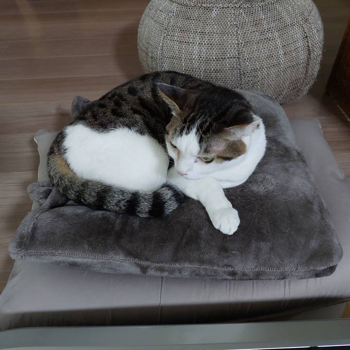 B1df28df 087d 48af a1ff 39eec6217d75 1649713320541