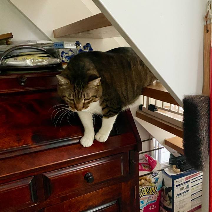 B1df324f 40b0 4847 b794 22083d988ce8 1757218699261