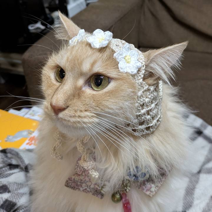 B1df34f9 15e7 4c35 b0e7 0c3c62002763 1773140917358