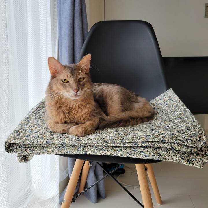 B1df88cc 22d4 4107 bfae 65d9cf0e8341 1693014618311