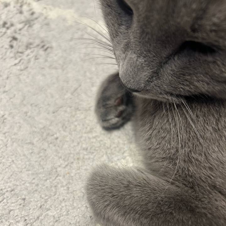 B1df96cc b5eb 450b 8c43 84ae45969bc6 1752498187590