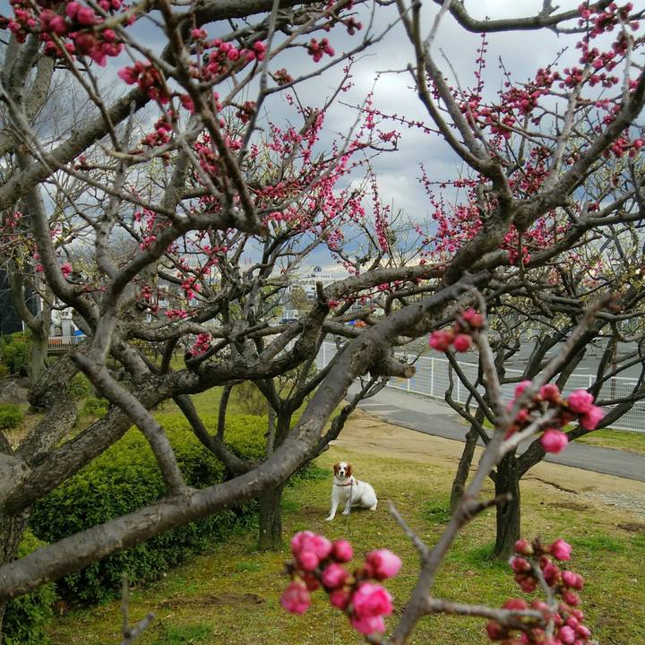 B1dfb504 b7c7 4695 a210 f720d7f5d092 1552293034742