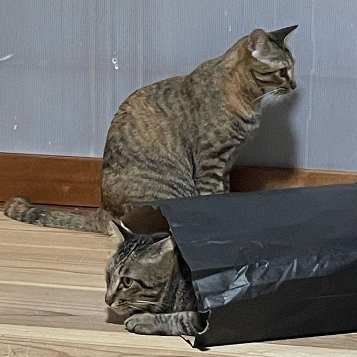 B1dfbda0 e092 43bf 8de1 f96b12c50c68 1756126896328