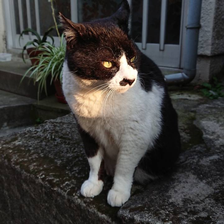 B1dff8dd 6da8 422b b4ed 49f23226c835 1588408576839