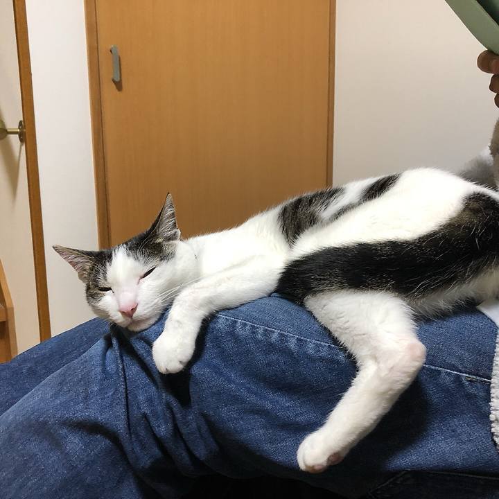 B1e02682 4d0f 4a9f 9c56 868258c2980d 1653651590811