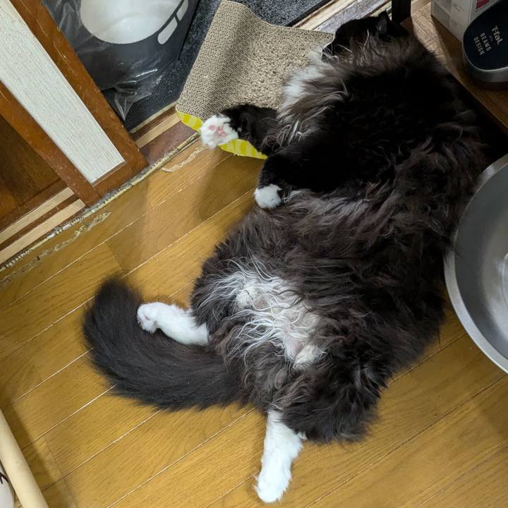 B1e03af8 6966 483b a46a e2f4555af587 1727664441024