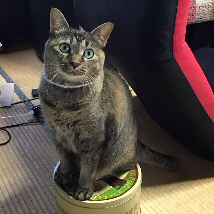 B1e05b3e 7abe 4d17 9671 7f09ddb9dc9a 1723967280483