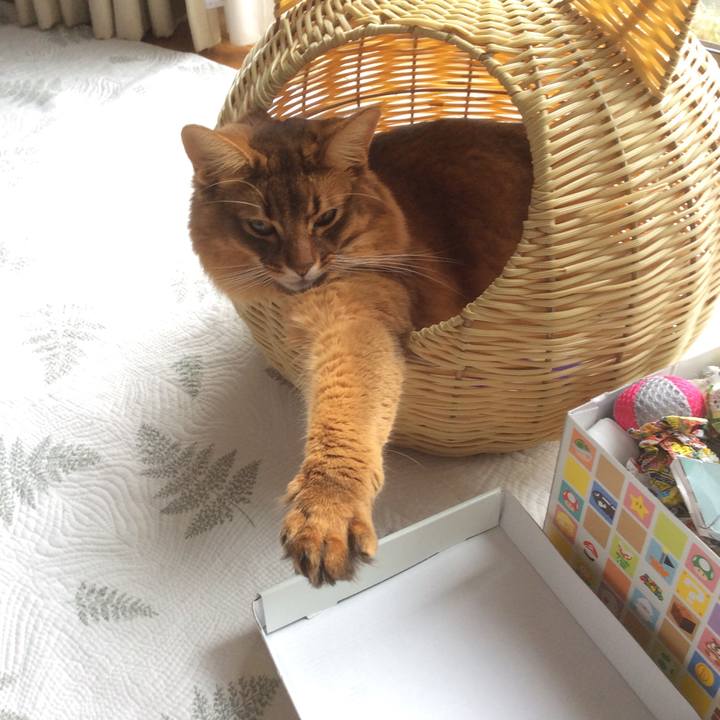 B1e06d5f 5de3 4fc4 9ffd e0c8d7e16980 1611056374852