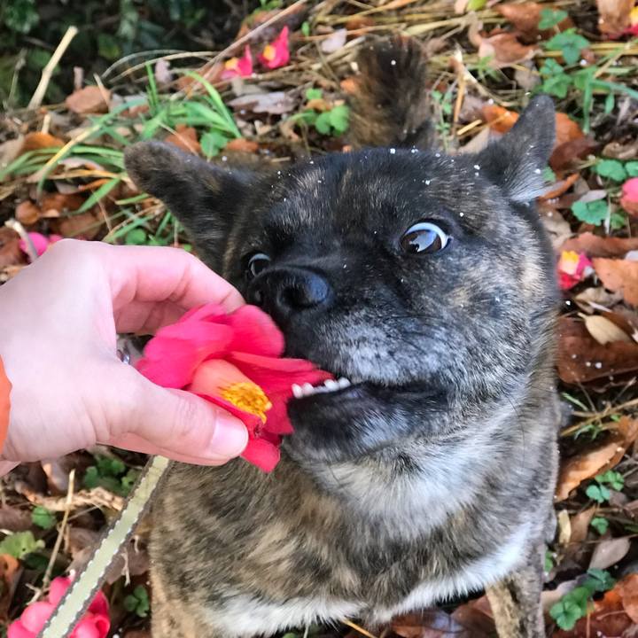 B1e07523 4bf1 40d8 a0f0 8d282f52aef4 1544309648952