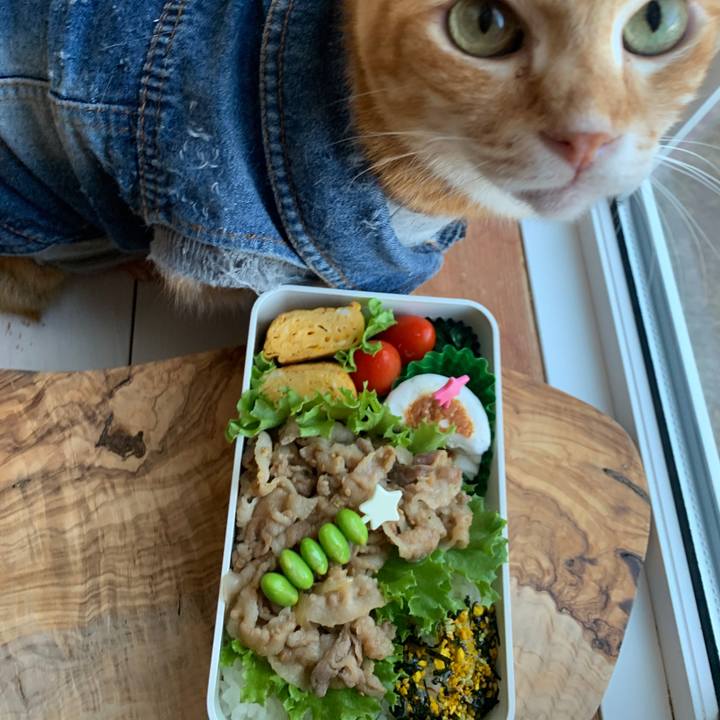 B1e09fcd 3f4c 4b3d 8160 17ad861a661f 1655934971179