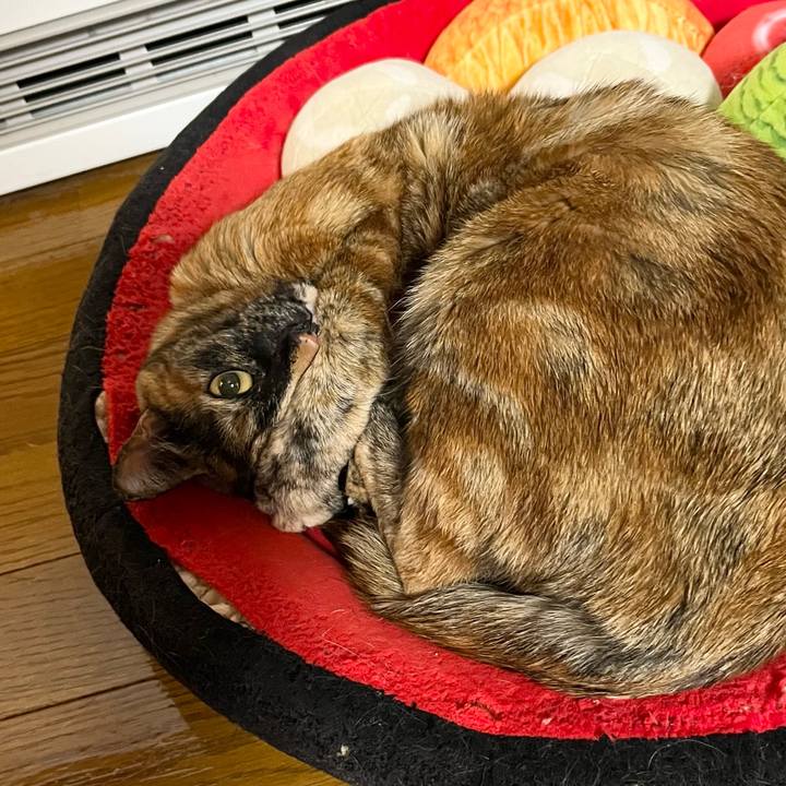 B1e0b9b0 6361 40dd 87c9 3c235aa1ffb9 1766922466289