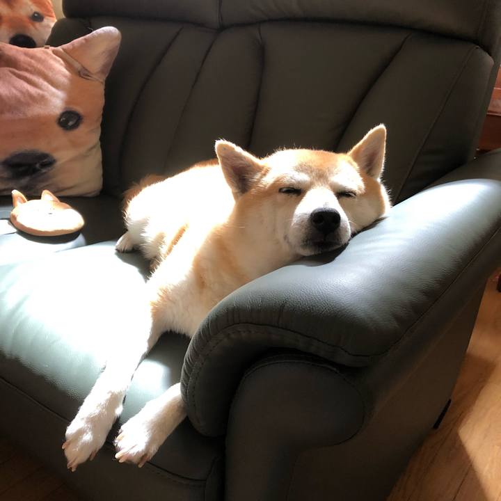 B1e0d059 b957 4cf3 bc0c 6d4da935e4c9 1561475501644