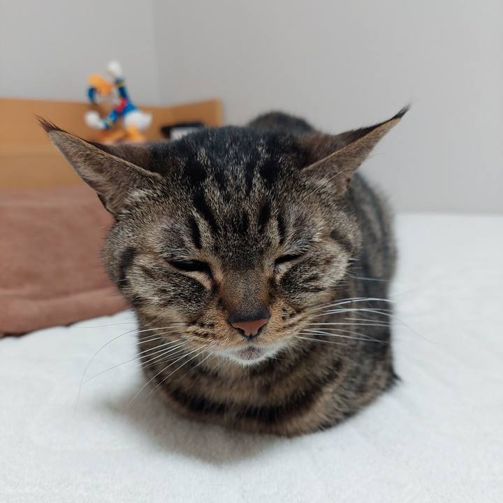 B1e0d7ac fc4f 439e 8220 8a2f309eb448 1648179897252