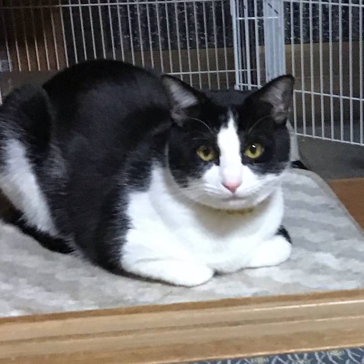 B1e0decf 4669 4e89 a3f9 e08961ab6869 1647864632514