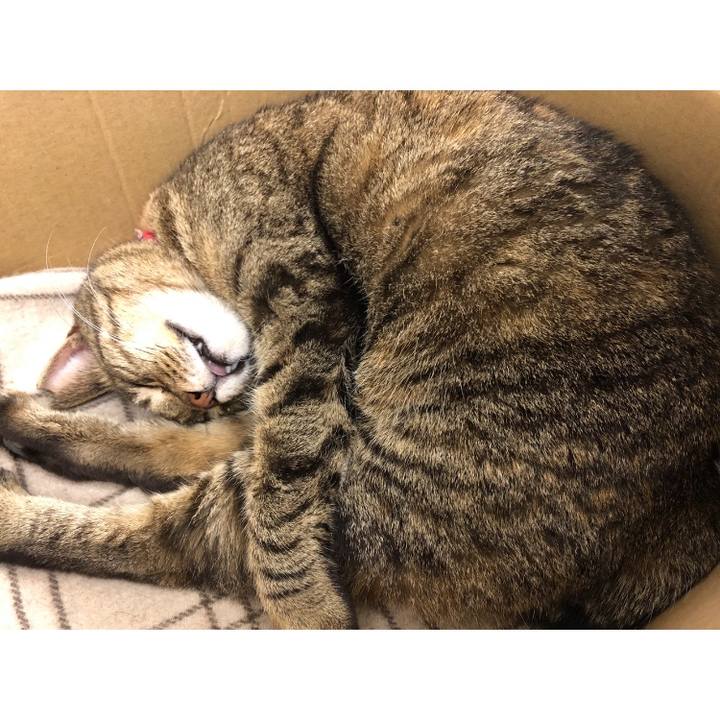 B1e0eea7 4493 4023 9d35 a3a19c032054 1610168653325