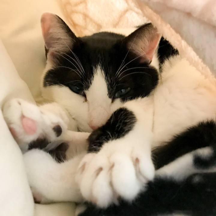 B1e0ff22 88cd 47e3 a7fe 93d4b1882b40 1520123542922