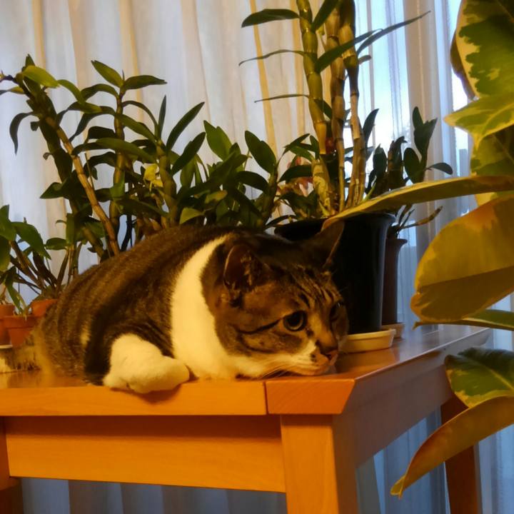 B1e10931 4cb5 49e0 a6f2 c958b8ba2611 1516572843174