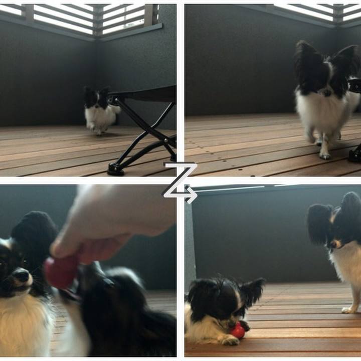 B1e10ef8 5172 4e5c adbe 93b61e291fde 1507868320277