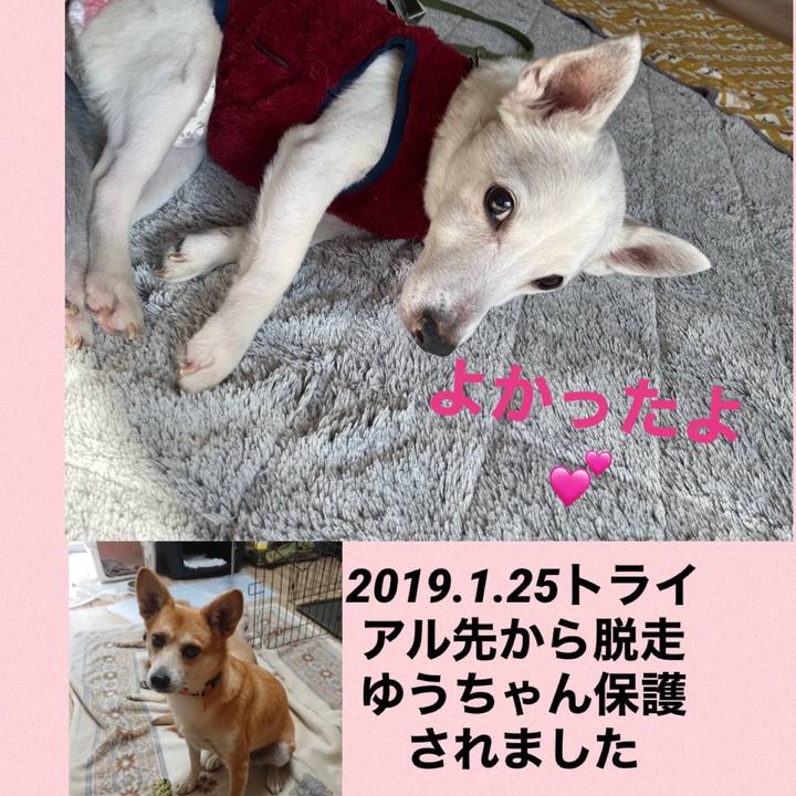 B1e13456 835a 41bd bd82 d05d112f8112 1609309153248