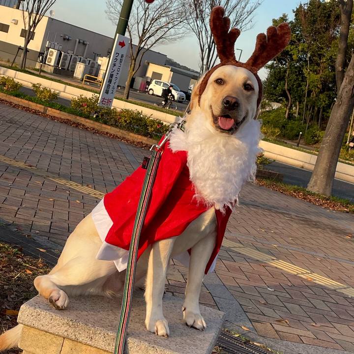 B1e17fc0 6b88 4185 8a86 9db638ad3ed6 1670587288166