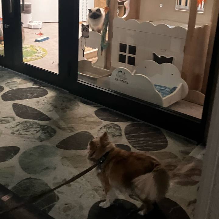 B1e19c95 4949 4c3d ac69 7673ac83411c 1763690896691