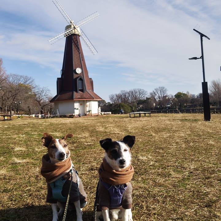 B1e1bd3c bd02 4965 975a 995d8c24ddd8 1767153028529