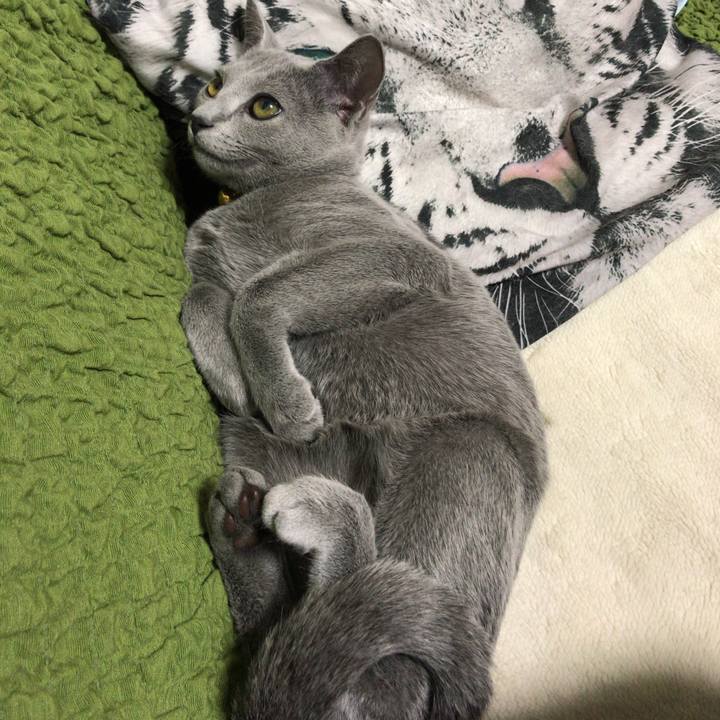 B1e1c36e ac03 4976 b4ea b54c8038c7ab 1508812448436