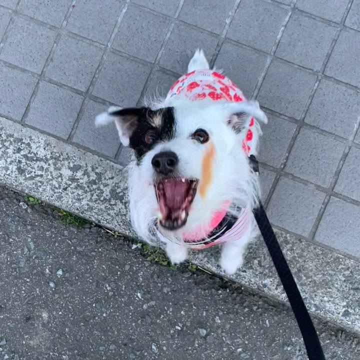 B1e1cf75 c09a 4dfc 9c98 eb47b4d55fd3 1710894890273